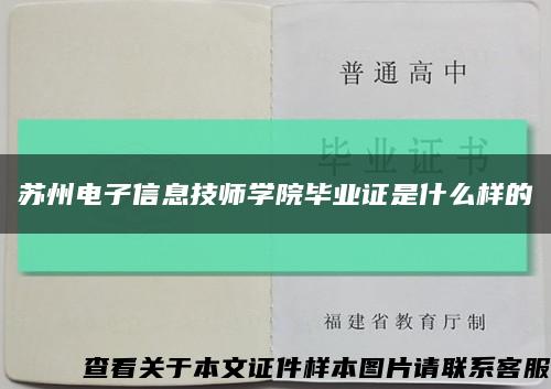 苏州电子信息技师学院毕业证是什么样的缩略图