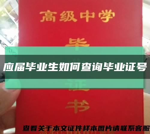 应届毕业生如何查询毕业证号缩略图