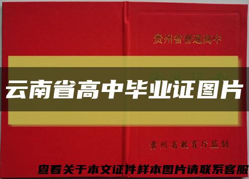 云南省高中毕业证图片缩略图