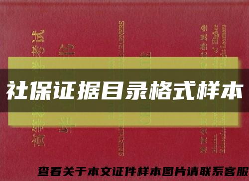 社保证据目录格式样本缩略图
