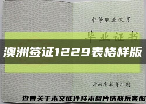 澳洲签证1229表格样版缩略图
