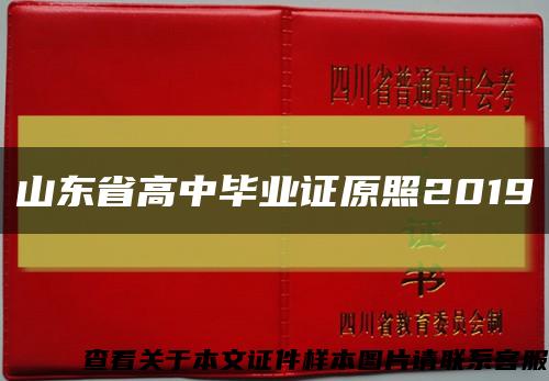 山东省高中毕业证原照2019缩略图