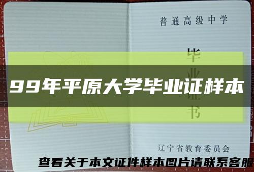 99年平原大学毕业证样本缩略图