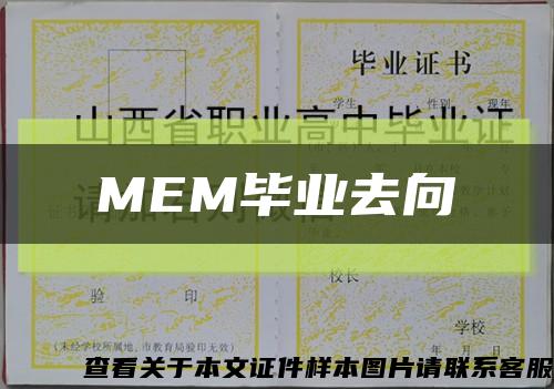 MEM毕业去向缩略图