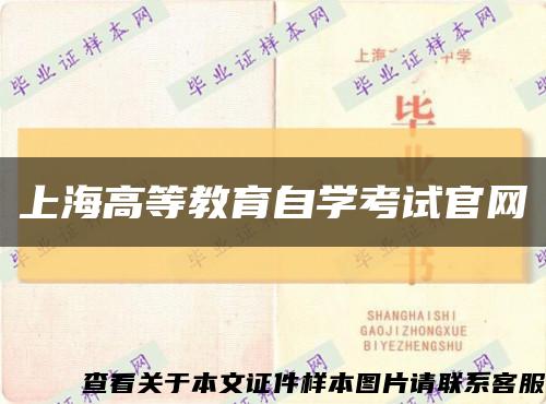 上海高等教育自学考试官网缩略图