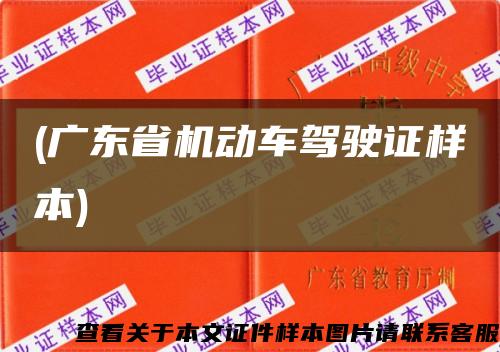 (广东省机动车驾驶证样本)缩略图