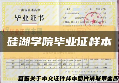 硅湖学院毕业证样本缩略图