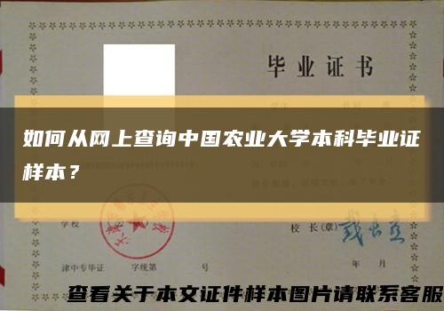 如何从网上查询中国农业大学本科毕业证样本？缩略图
