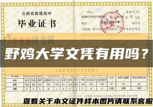 野鸡大学文凭有用吗？缩略图