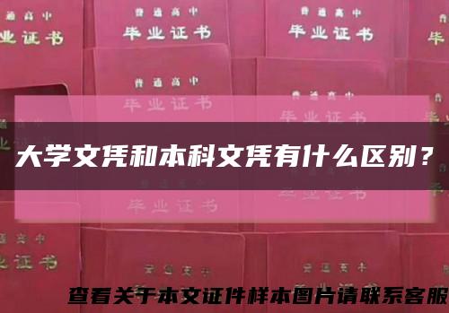 大学文凭和本科文凭有什么区别？缩略图