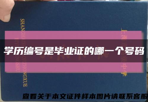 学历编号是毕业证的哪一个号码缩略图