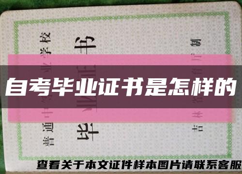 自考毕业证书是怎样的缩略图