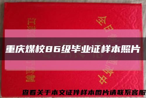 重庆煤校86级毕业证样本照片缩略图