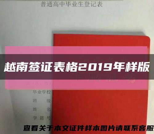 越南签证表格2019年样版缩略图