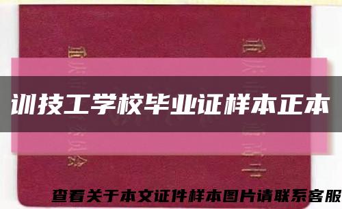 训技工学校毕业证样本正本缩略图
