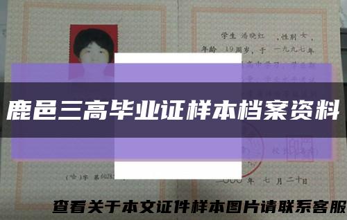 鹿邑三高毕业证样本档案资料缩略图