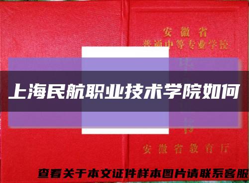 上海民航职业技术学院如何缩略图