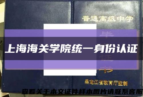 上海海关学院统一身份认证缩略图