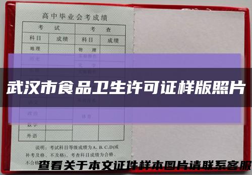 武汉市食品卫生许可证样版照片缩略图