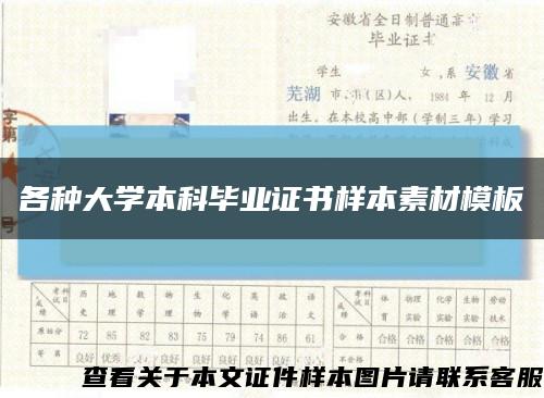 各种大学本科毕业证书样本素材模板缩略图