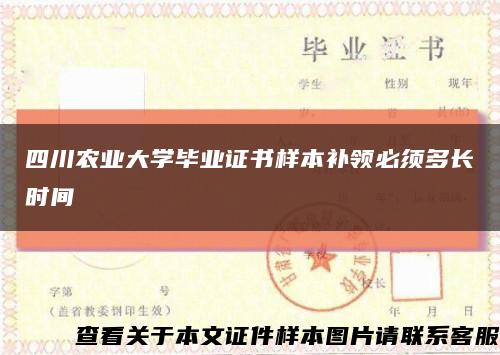 四川农业大学毕业证书样本补领必须多长时间缩略图