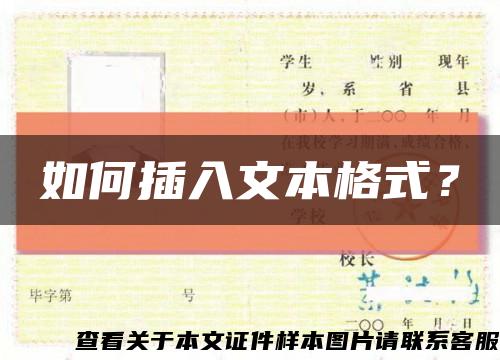 如何插入文本格式？缩略图