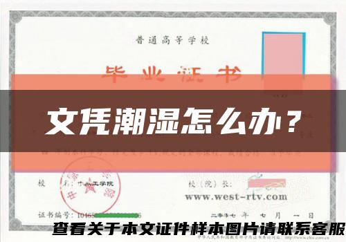 文凭潮湿怎么办？缩略图