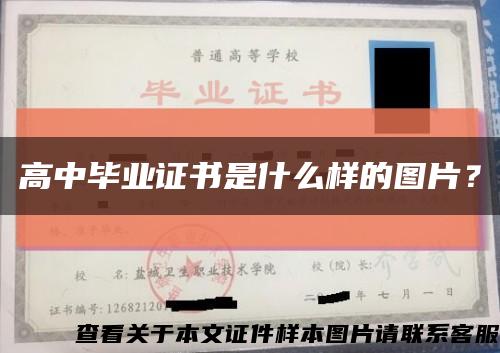 高中毕业证书是什么样的图片？缩略图