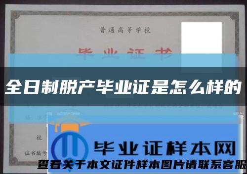 全日制脱产毕业证是怎么样的缩略图