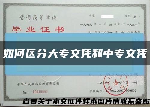 如何区分大专文凭和中专文凭缩略图