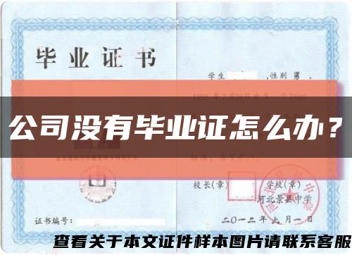 公司没有毕业证怎么办？缩略图
