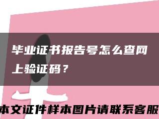 毕业证书报告号怎么查网上验证码？缩略图