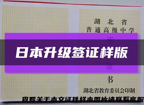 日本升级签证样版缩略图