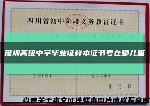 深圳高级中学毕业证样本证书号在哪儿查缩略图