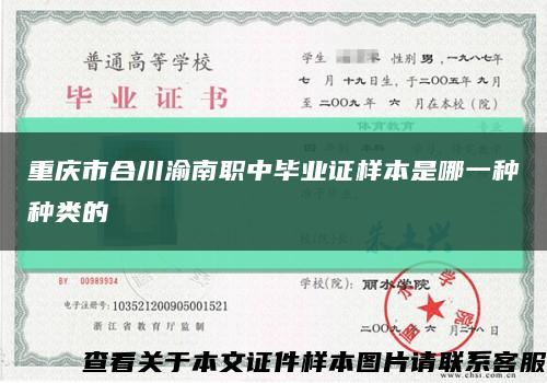 重庆市合川渝南职中毕业证样本是哪一种种类的缩略图