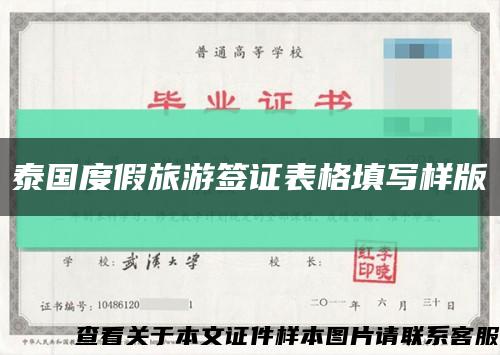 泰国度假旅游签证表格填写样版缩略图