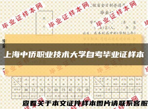 上海中侨职业技术大学自考毕业证样本缩略图