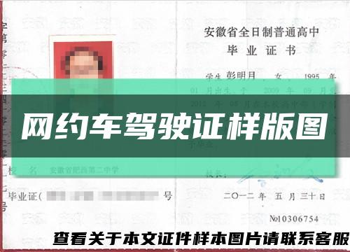 网约车驾驶证样版图缩略图