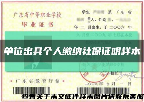 单位出具个人缴纳社保证明样本缩略图