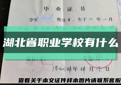 湖北省职业学校有什么缩略图
