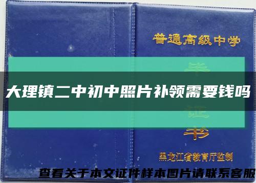大理镇二中初中照片补领需要钱吗缩略图