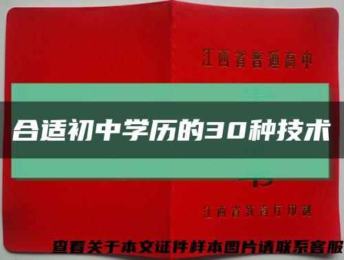合适初中学历的30种技术缩略图