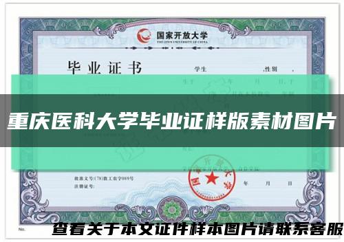重庆医科大学毕业证样版素材图片缩略图
