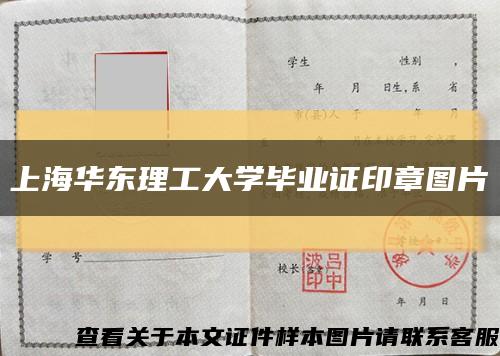 上海华东理工大学毕业证印章图片缩略图