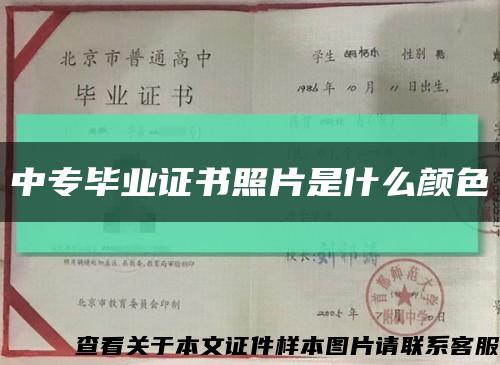 中专毕业证书照片是什么颜色缩略图