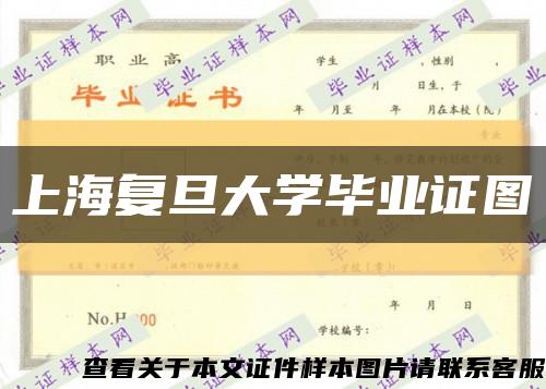 上海复旦大学毕业证图缩略图