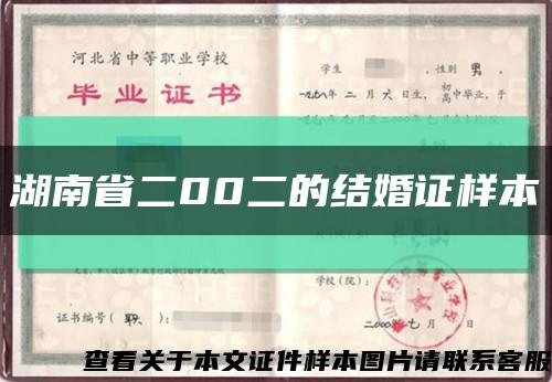 湖南省二00二的结婚证样本缩略图