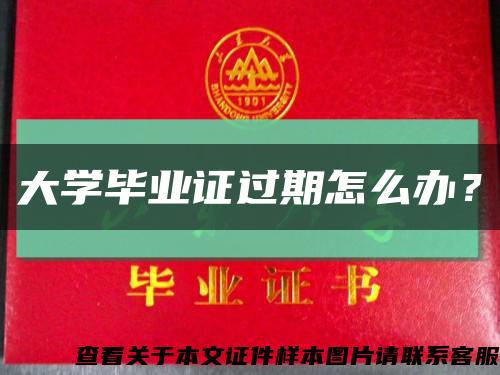 大学毕业证过期怎么办？缩略图
