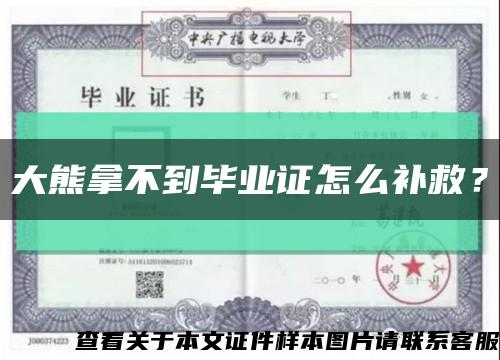 大熊拿不到毕业证怎么补救？缩略图