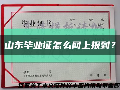 山东毕业证怎么网上报到？缩略图